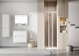 Душевая дверь Ravak Supernova SDZ2-70 01V10100ZG Grape профиль белый